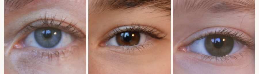 The eye of the beholder – Lepota v očeh opazovalca 